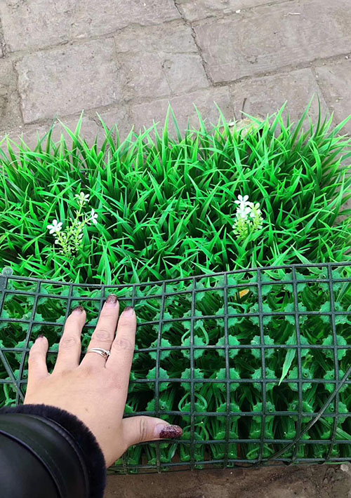 �Lɳ��˾����