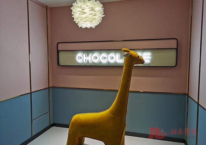 LED���������� 